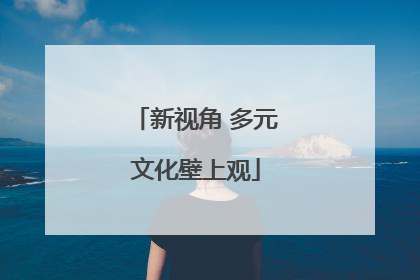 新视角 多元文化壁上观