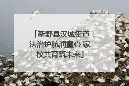 新野县汉城街道：法治护航润童心 家校共育筑未来