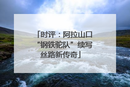 时评：阿拉山口“钢铁驼队”续写丝路新传奇