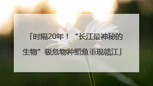 时隔20年！“长江最神秘的生物”极危物种鳤鱼重现赣江