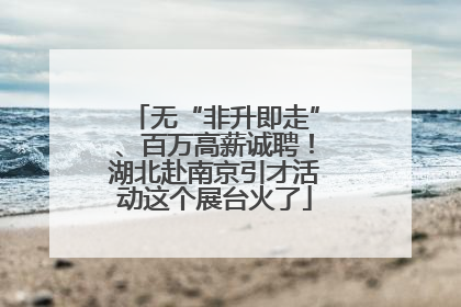 无“非升即走”、百万高薪诚聘！湖北赴南京引才活动这个展台火了