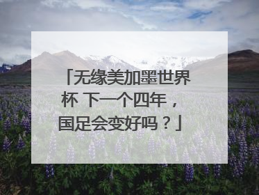 无缘美加墨世界杯 下一个四年，国足会变好吗？