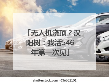 无人机浇顶？汉阳树：我活546年第一次见