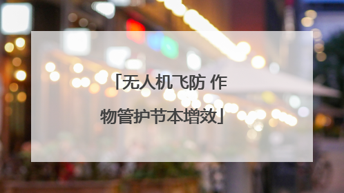无人机飞防 作物管护节本增效