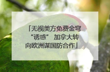 无视美方免费金穹“诱惑” 加拿大转向欧洲谋国防合作