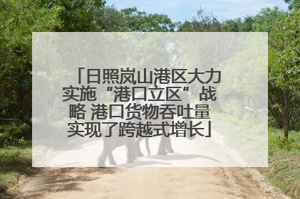 日照岚山港区大力实施“港口立区”战略 港口货物吞吐量实现了跨越式增长
