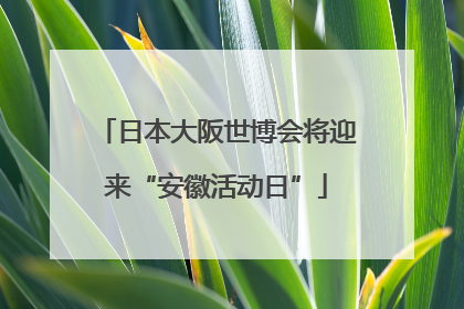 日本大阪世博会将迎来“安徽活动日”