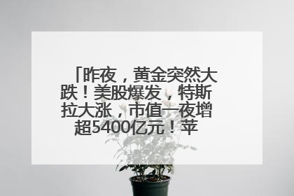 昨夜，黄金突然大跌！美股爆发，特斯拉大涨，市值一夜增超5400亿元！苹果传来大消息