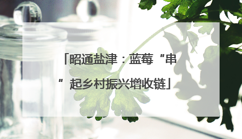 昭通盐津：蓝莓“串”起乡村振兴增收链