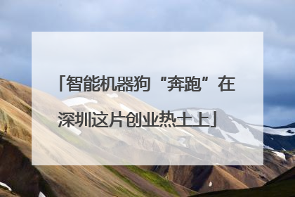 智能机器狗“奔跑”在深圳这片创业热土上