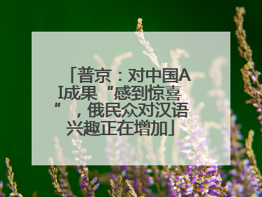 普京：对中国AI成果“感到惊喜”，俄民众对汉语兴趣正在增加