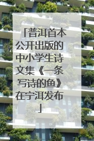 普洱首本公开出版的中小学生诗文集《一条写诗的鱼》在宁洱发布