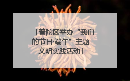 普陀区举办“我们的节日·端午”主题文明实践活动