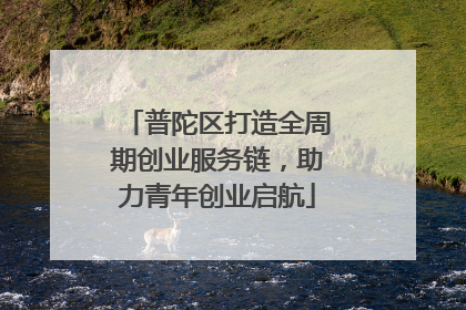 普陀区打造全周期创业服务链，助力青年创业启航
