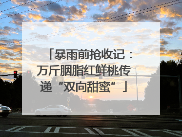 暴雨前抢收记：万斤胭脂红鲜桃传递“双向甜蜜”