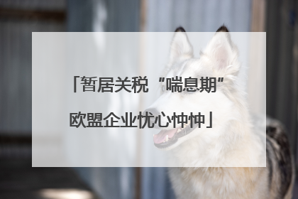 暂居关税“喘息期” 欧盟企业忧心忡忡