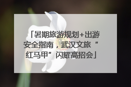 暑期旅游规划+出游安全指南，武汉文旅“红马甲”闪耀高招会