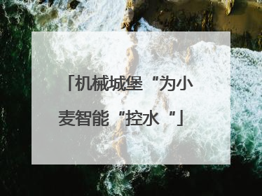 机械城堡“为小麦智能“控水“