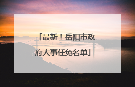 最新！岳阳市政府人事任免名单