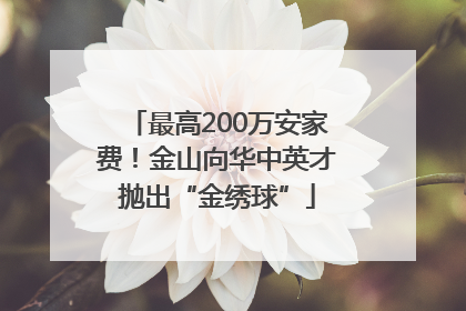 最高200万安家费！金山向华中英才抛出“金绣球”