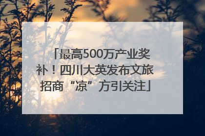 最高500万产业奖补！四川大英发布文旅招商“凉”方引关注