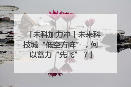 未科加力冲丨未来科技城“低空方阵”，何以蓄力“先飞”？