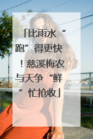 比雨水“跑”得更快！慈溪梅农与天争“鲜”忙抢收