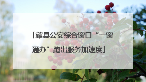 歙县公安综合窗口“一窗通办”跑出服务加速度