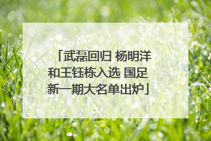 武磊回归 杨明洋和王钰栋入选 国足新一期大名单出炉