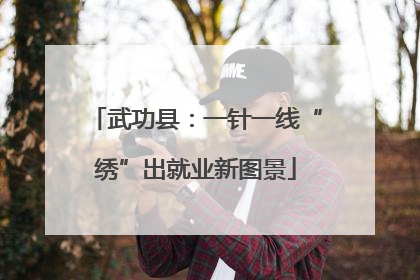 武功县：一针一线“绣”出就业新图景