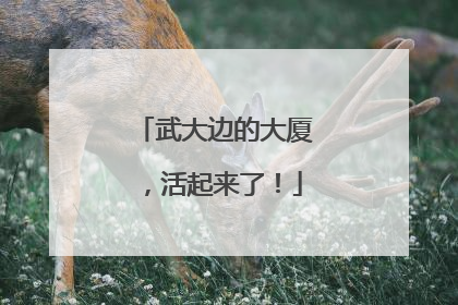 武大边的大厦，活起来了！