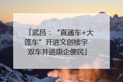 武昌：“直通车+大篷车”开进文创楼宇 双车并进惠企便民