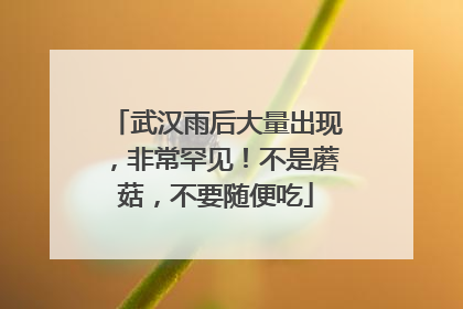 武汉雨后大量出现，非常罕见！不是蘑菇，不要随便吃