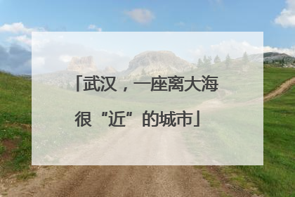 武汉，一座离大海很“近”的城市