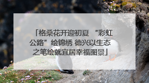 格桑花开迎初夏 “彩虹公路”绘锦绣 德兴以生态之笔绘就宜居幸福图景