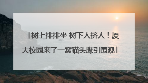 树上排排坐 树下人挤人！厦大校园来了一窝猫头鹰引围观