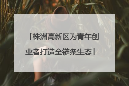 株洲高新区为青年创业者打造全链条生态