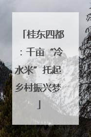 桂东四都：千亩“冷水米”托起乡村振兴梦