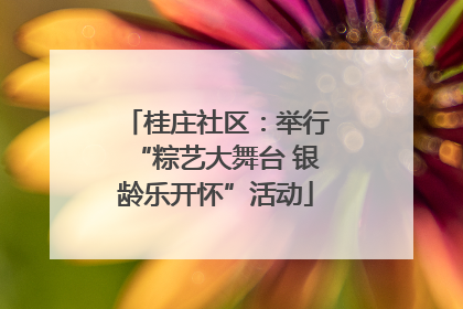 桂庄社区：举行“粽艺大舞台 银龄乐开怀”活动