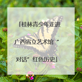 桂林青少年走进广西省立艺术馆“对话”红色历史