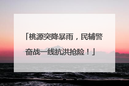 桃源突降暴雨，民辅警奋战一线抗洪抢险！