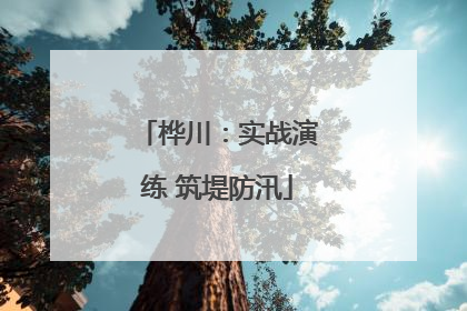 桦川：实战演练 筑堤防汛