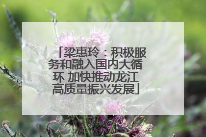 梁惠玲：积极服务和融入国内大循环 加快推动龙江高质量振兴发展