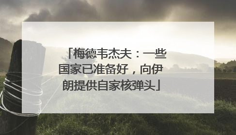 梅德韦杰夫：一些国家已准备好，向伊朗提供自家核弹头