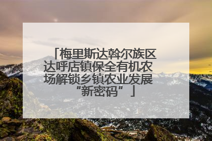 梅里斯达斡尔族区达呼店镇保全有机农场解锁乡镇农业发展“新密码”