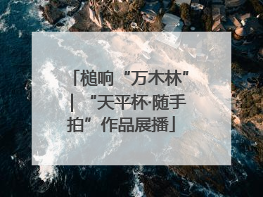 槌响“万木林”｜“天平杯·随手拍”作品展播
