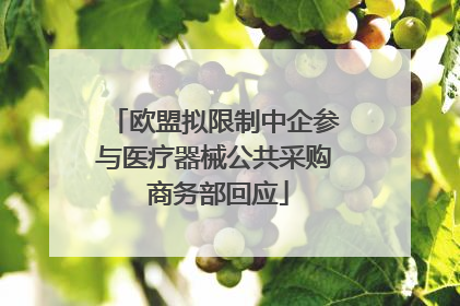 欧盟拟限制中企参与医疗器械公共采购 商务部回应