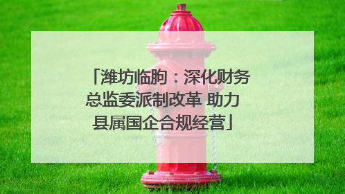 潍坊临朐：深化财务总监委派制改革 助力县属国企合规经营