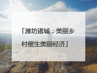 潍坊诸城：美丽乡村催生美丽经济