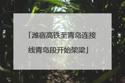 潍宿高铁至青岛连接线青岛段开始架梁